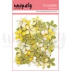 Uniquely Creative NFYT 07/30/2026 10 Pack "I Want It All" Bundle - Sweet As Honey