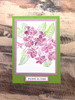 The Crafters Workshop 4 Fun Size 1oz Stencil Butters Set #8 - Hydrangea, Pink Lemonade, Dusty Pink, Mulberry