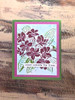 The Crafters Workshop NFYT 08/06/2026 8 Pack "I Want It All" Bundle #2 - Paradise Garden