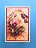 Paper Favourites YT#671 4 Pack "I Want It All" A6/4.25x6in Paper Pad Bundle #5 - Florals and Butteflies