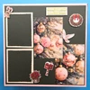 Paper Favourites Die-Cuts, 32pcs - Classic Christmas
