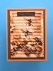 Simple and Basic A6 Dies Rectangle - Horizontal Striped Panel