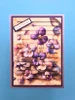 Simple and Basic YT#671 4 Pack "I Want It All" Bundle #1 - Striped Panel Dies