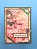 Simple and Basic YT#671 4 Pack "I Want It All" Bundle #1 - Striped Panel Dies