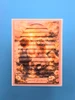 Simple and Basic YT#671 4 Pack "I Want It All" Bundle #1 - Striped Panel Dies