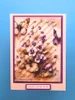 Simple and Basic YT#671 4 Pack "I Want It All" Bundle #1 - Striped Panel Dies
