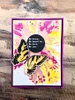 Sizzix Make It Monday 08/17/2026 5 Pack "I Want It All" Bundle - Floral Impressions