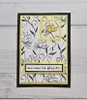 Sizzix Make It Monday 08/17/2026 5 Pack "I Want It All" Bundle - Floral Impressions