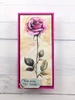 Mintay Papers NFYT 08/20//2026 6 Pack Bundle #1 - Art Journal Paper Pads & Ephemeras