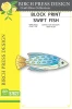 Memory Box Birch Press Design Block Print Dies - Swift Fish