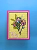 Lisa Horton Crafts Stamp & Die Set - You're Amazing