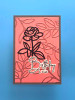 Lisa Horton Crafts YT#675 5 Pack "I Want It All" Bundle #1 - Sentiments & Scribbles