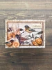 Stamperia New For You Thursday 09/17/2026 5 Pack "I Want It All" Bundle #3 - Our Way