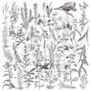 ABStudio Die-Cuts/Ephemera, 35pcs - Black & White Flowers Elements