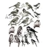 ABStudio YT#677 5 Pack "I Want It All" Bundle #4 - Flora & Fauna  FREE A4 STORAGE TOTE
