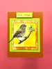 ABStudio YT#677 5 Pack "I Want It All" Bundle #4 - Flora & Fauna  FREE A4 STORAGE TOTE