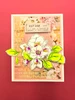 ABStudio YT#677 5 Pack "I Want It All" Bundle #4 - Flora & Fauna  FREE A4 STORAGE TOTE