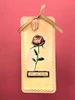 ABStudio YT#677 5 Pack "I Want It All" Bundle #4 - Flora & Fauna  FREE A4 STORAGE TOTE