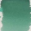 Royal Talens Pantone Dual Tip Green Marker & Ink Refill Bottle - 335