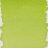 Royal Talens Pantone Dual Tip Green Yellow Marker & Ink Refill Bottle - 380