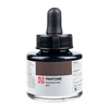 Royal Talens Pantone Dual Tip Warm Gray Marker & Ink Refill Bottle - 411