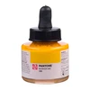 Royal Talens Pantone Dual Tip Yellow Marker & Ink Refill Bottle - 109