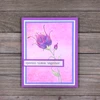 Memory Box/Penny Black/Studio Light YouTube#678 3 Pack “I Want It All” Bundle #2 - Floral & Festivities