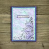 IndigoBlu YouTube#678 3 Pack “I Want It All” Bundle #1 - Blooming Corner