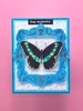 Katy Sue Design Cosmic Shimmer DL Stamp Set - Past & Postal