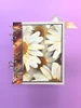 Paper Favourites YT#680 3 Pack "I Want It All" Bundle #3 - Daisies, Leaves, & Textures