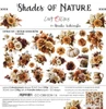 Craft O' Clock NFYT 10/29/2026 5 Pack "I Want It All" Bundle #1 - Shades Of Nature