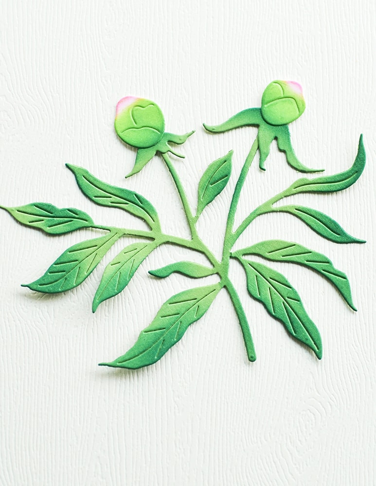 Memory Box Dies - Peony Bud Trio - Scrapbooking Made Simple