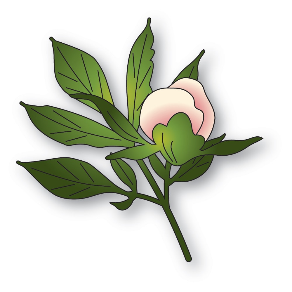 Memory Box Dies - Tender Peony Bud - Scrapbooking Made Simple