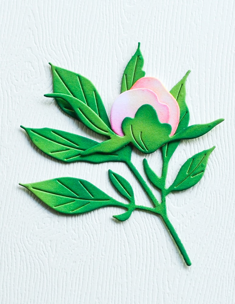 Memory Box Dies - Tender Peony Bud - Scrapbooking Made Simple