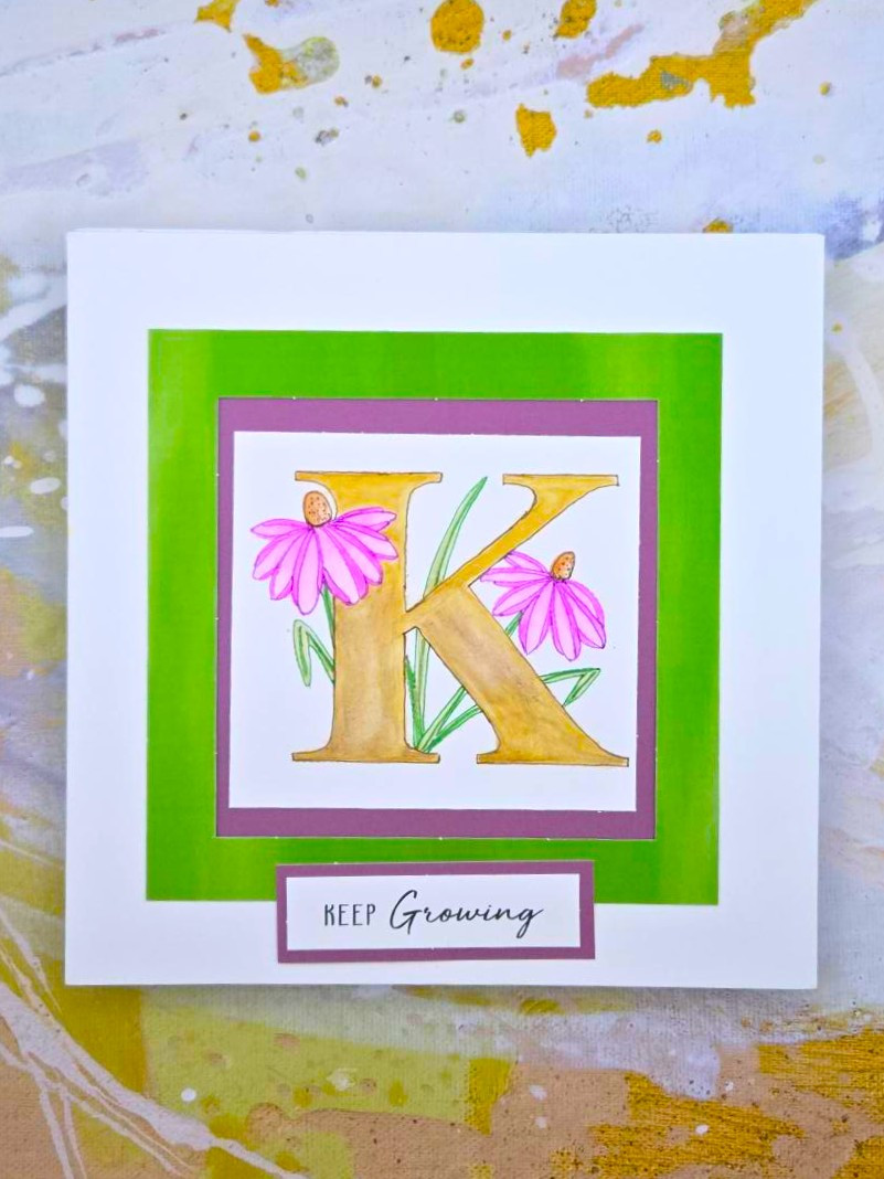 Katy Sue Designs Large Frame Aperture Cards & Envelopes 195x195mm, Pack ...