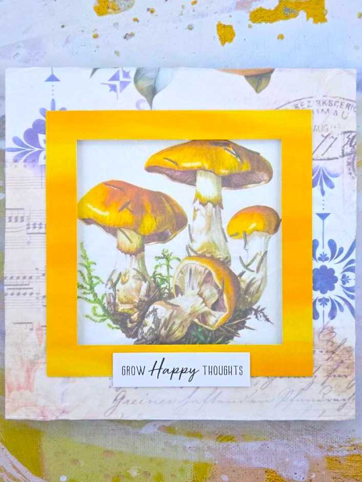 Katy Sue Designs Large Frame Aperture Cards & Envelopes 195x195mm, Pack ...