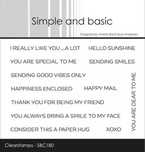 Simple and Basic Clear Stamp - You Are Special To Me