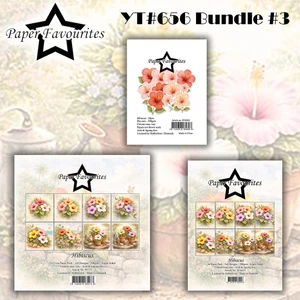 Paper Favourites YT#656 3 Pack "I Want It All" Bundle #3 - Hibiscus
