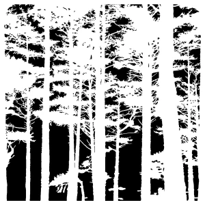 The Crafters Workshop 6x6in Stencils - Tree Canopy