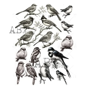 ABStudio Milk Valley A4 Paper Sticker Sheet - No. 0063