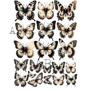 ABStudio Milk Valley A4 Paper Sticker Sheet - No. 0015