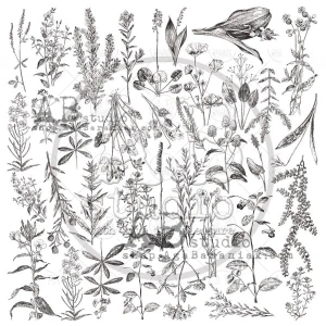 ABStudio Die-Cuts/Ephemera, 35pcs - Black & White Flowers Elements