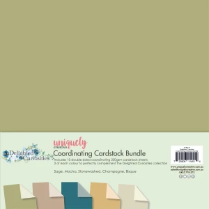Uniquely Creative 12x12in Coordinating Cardstock Bundle - Delighted Curiosities