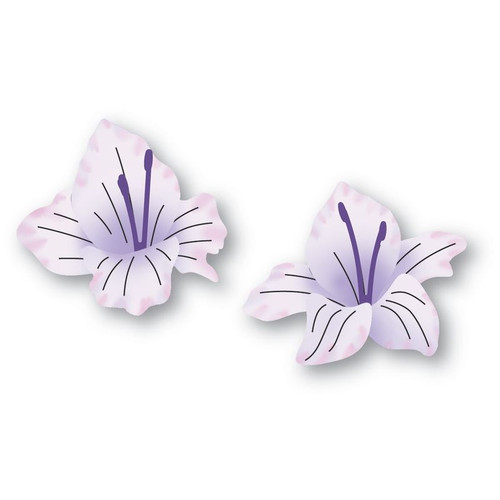 Memory Box Dies - Gladiola Floral Duo Memory Box Dies - Gladiola Floral Duo