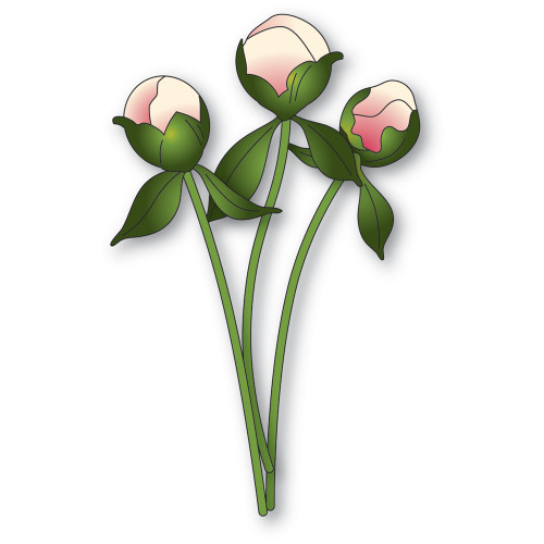 Memory Box Dies - Peony Bud Stems Memory Box Dies - Peony Bud Stems