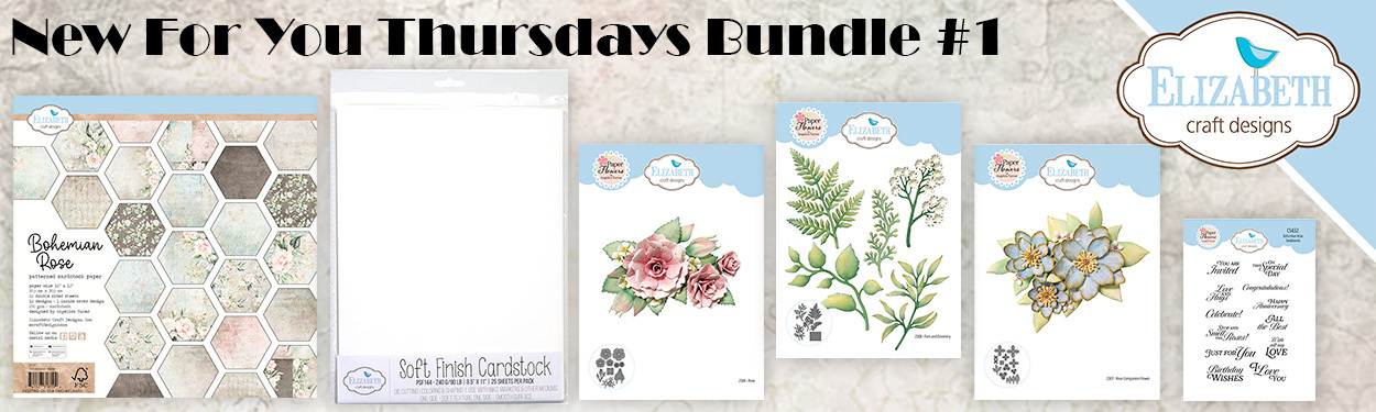 ecd-nfyt-1250x375-banner-bundle-1.jpg ecd-nfyt-1250x375-banner-bundle-1.jpg