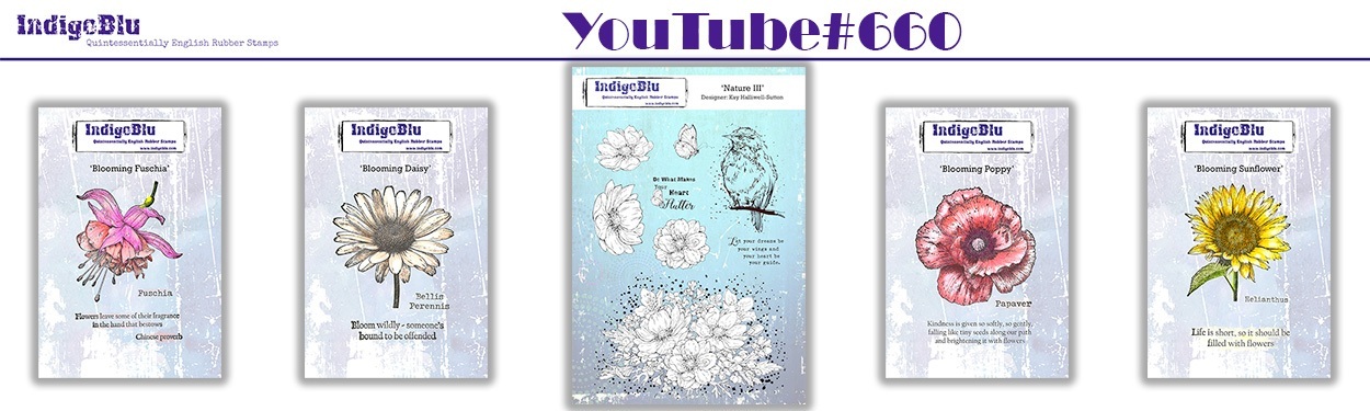 indigoblu-yt-660-1250x375-banner-bundle-2-a.jpg