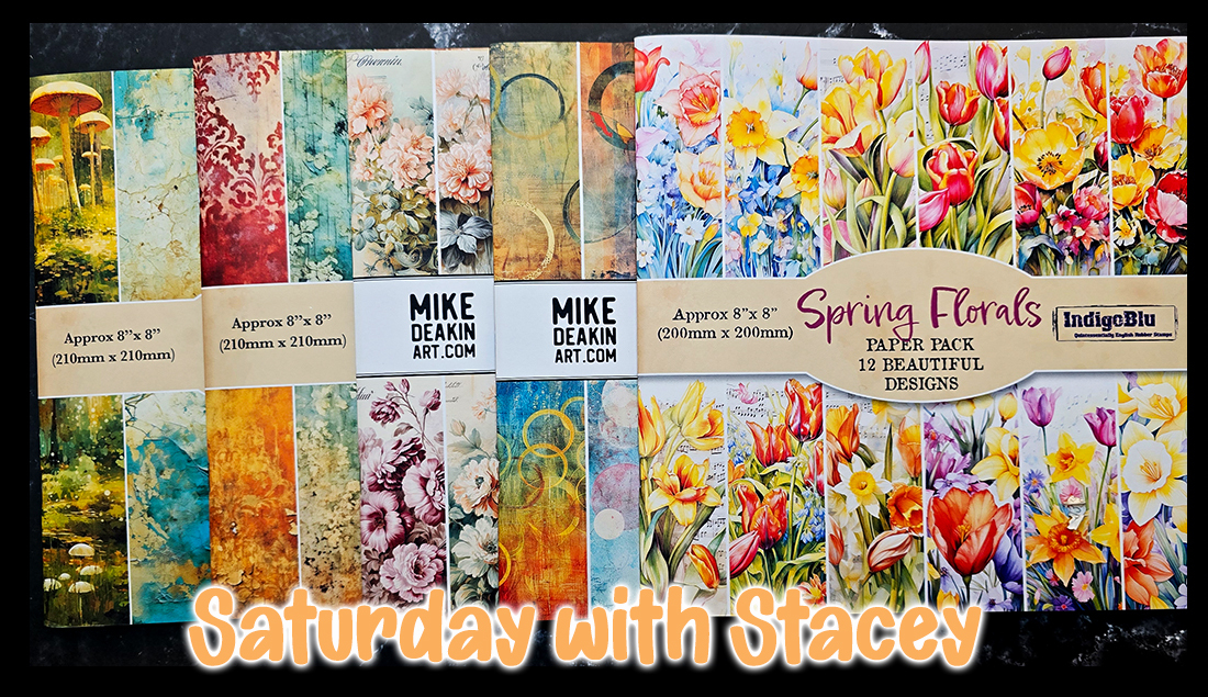 saturday-with-stacey-bc-carasol-banner-main-584a.jpg