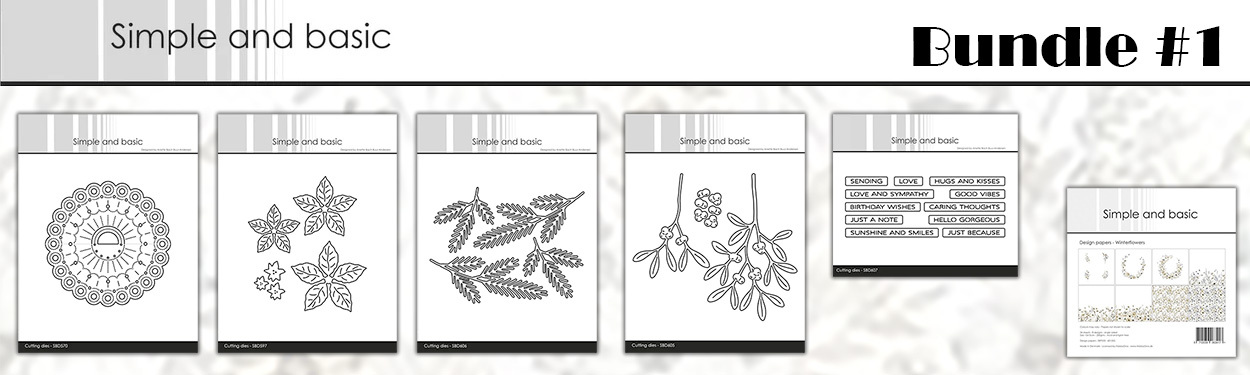 simple-and-basic-nfyt10092025-1250x375-bunde-1.jpg
