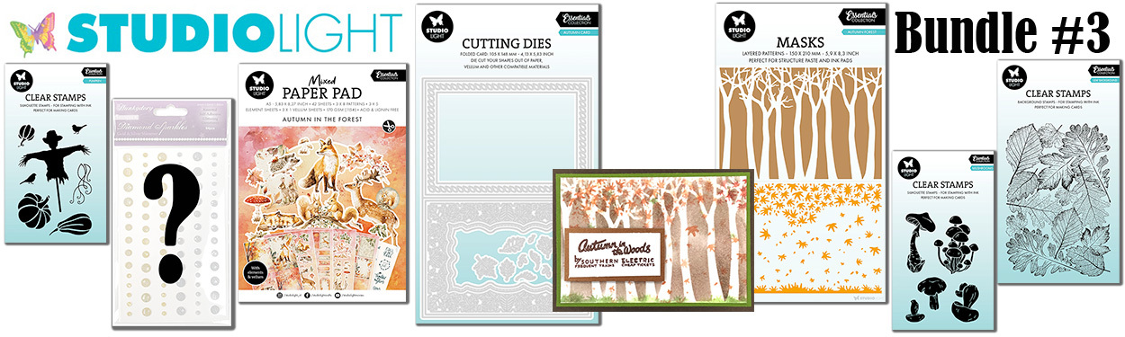 studio-light-nfyt09112025-bundle-3-1250x375-banner-1-.jpg